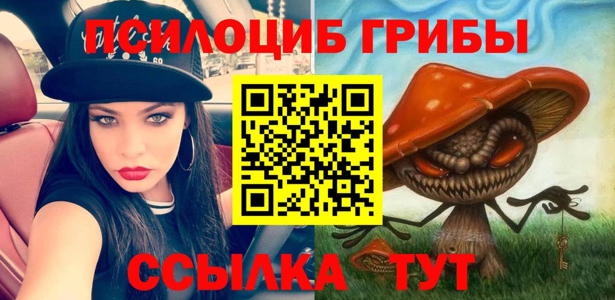 Псилоцибиновые грибы Cubensis  Вход с VPN  Луга  купить  сайты  Галлюциногенные грибы ЛСД 